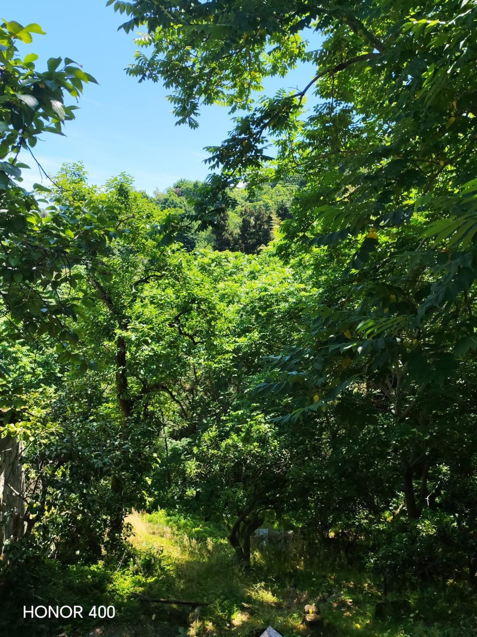 Beqa Hous Vacation rental in Adjara, Georgia