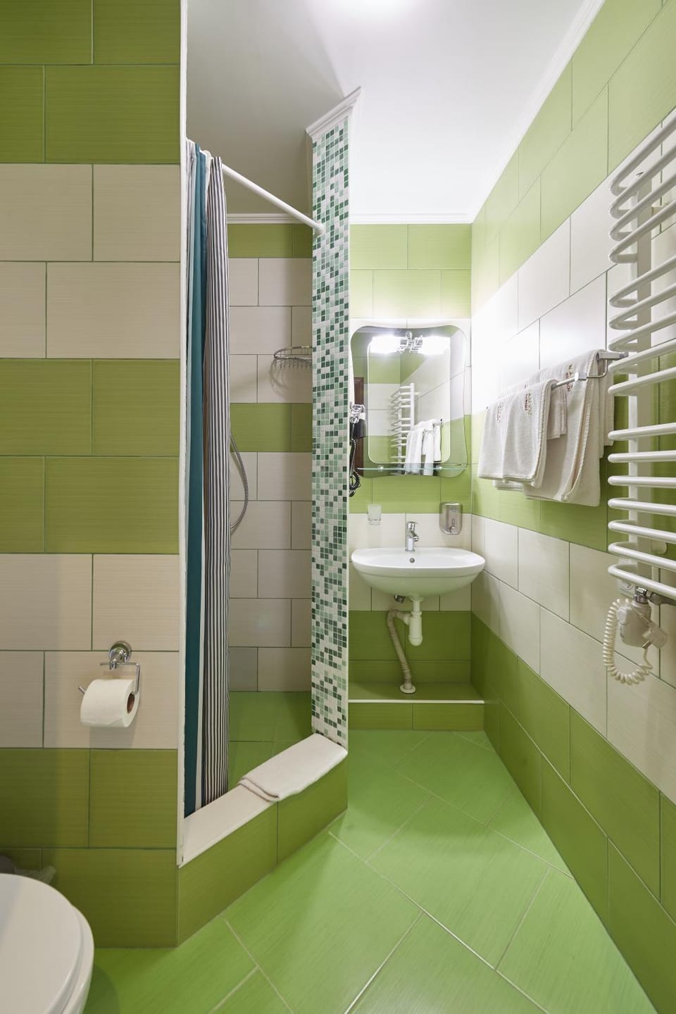 Shower, Toilet, towels