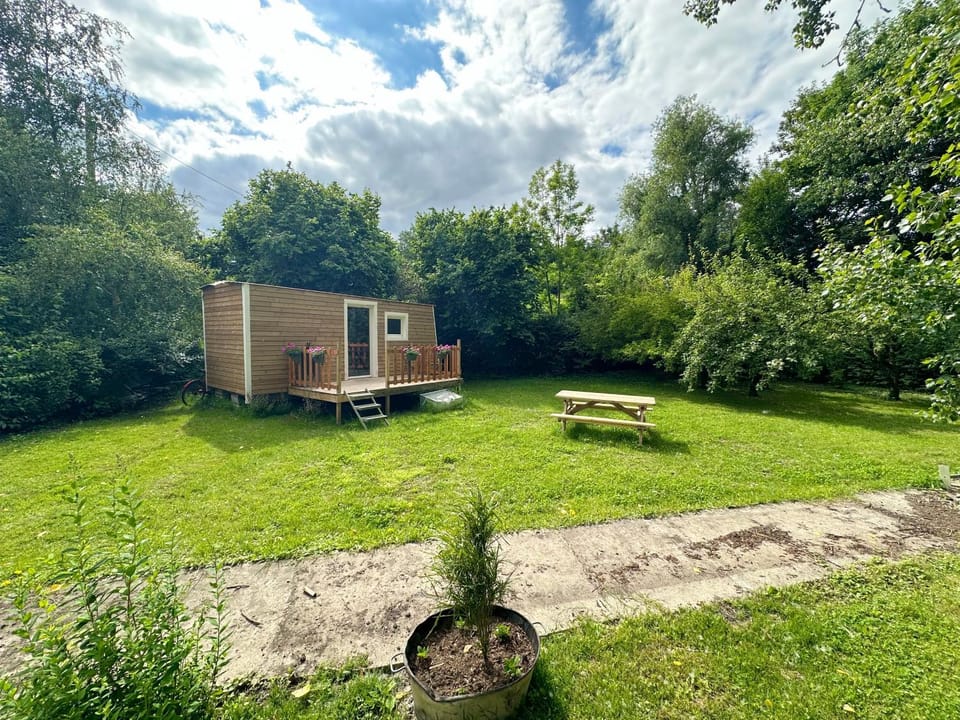 Natural landscape, Garden view