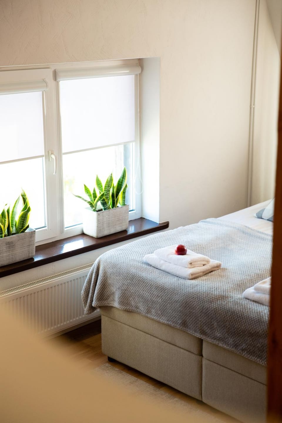 Bed