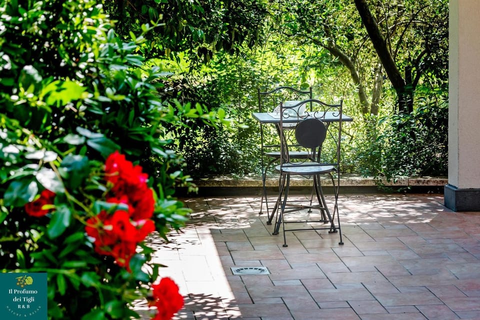 Patio, Garden