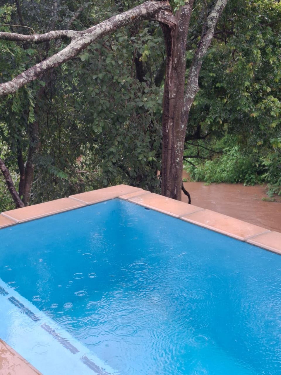 Modern Apartment on Letaba River Apartment in South Africa