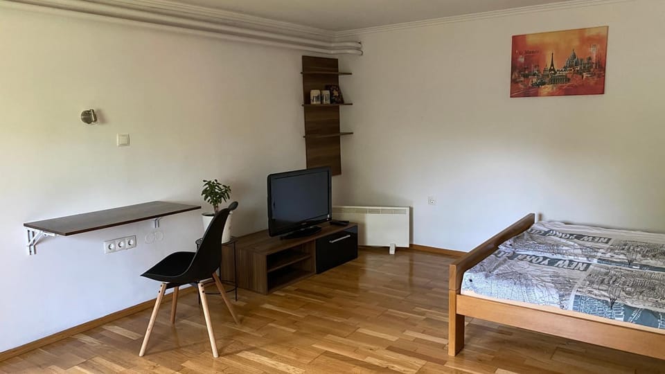Photo of the whole room