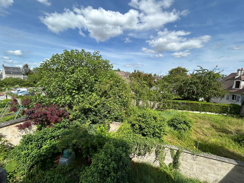 Natural landscape, Garden view