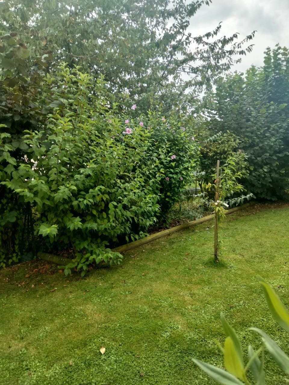 Spring, Natural landscape, Garden, Garden view