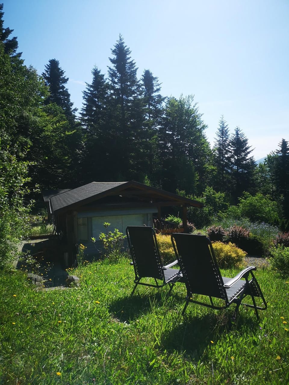 View (from property/room)