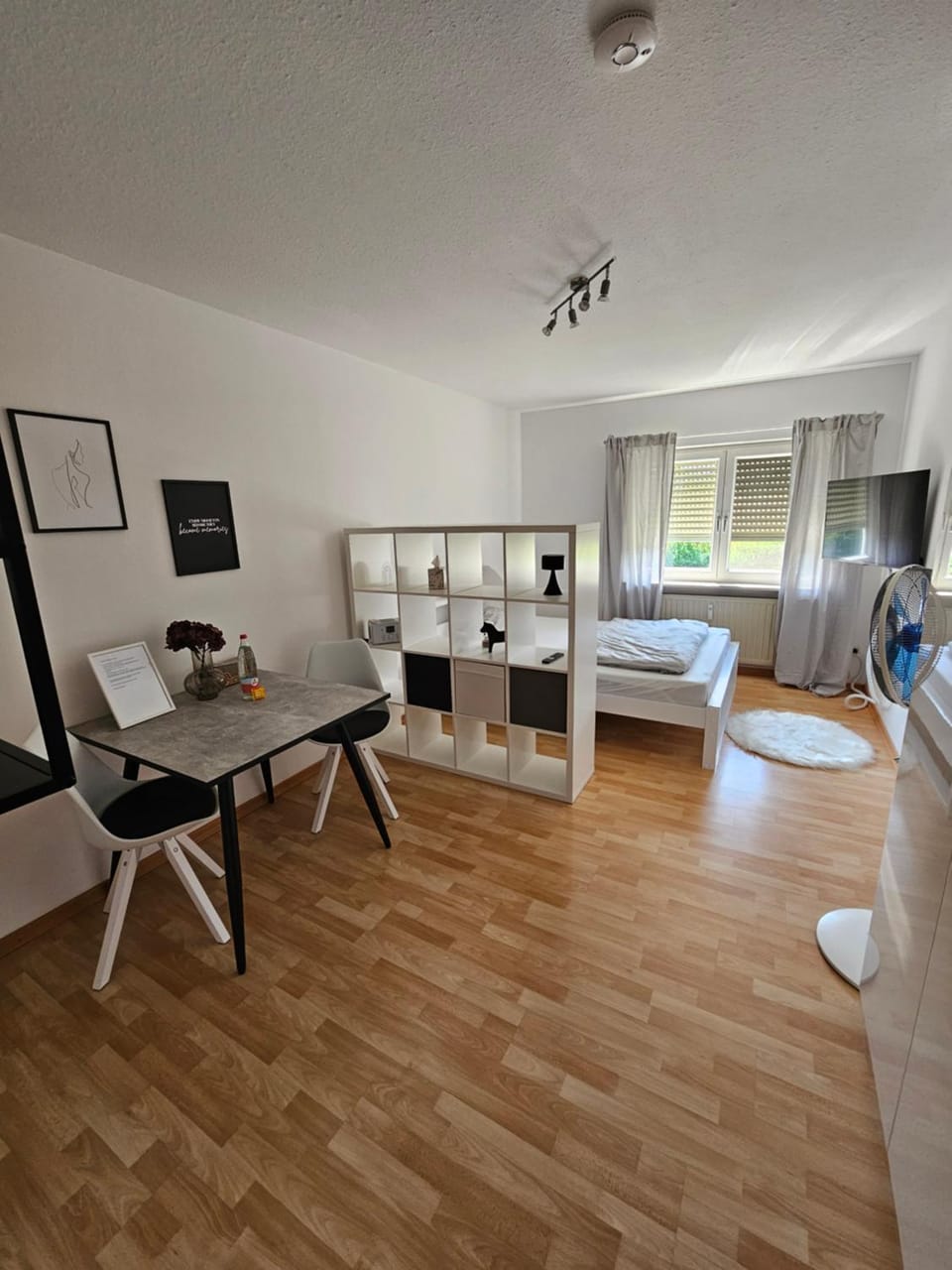 Photo of the whole room