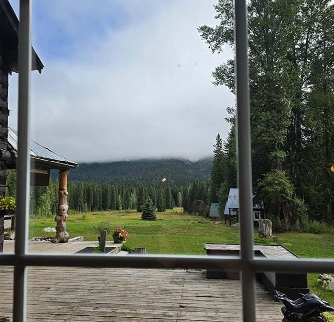 Garden view