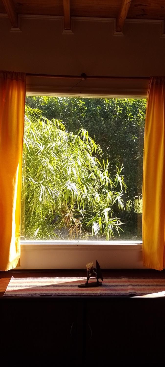 Garden view