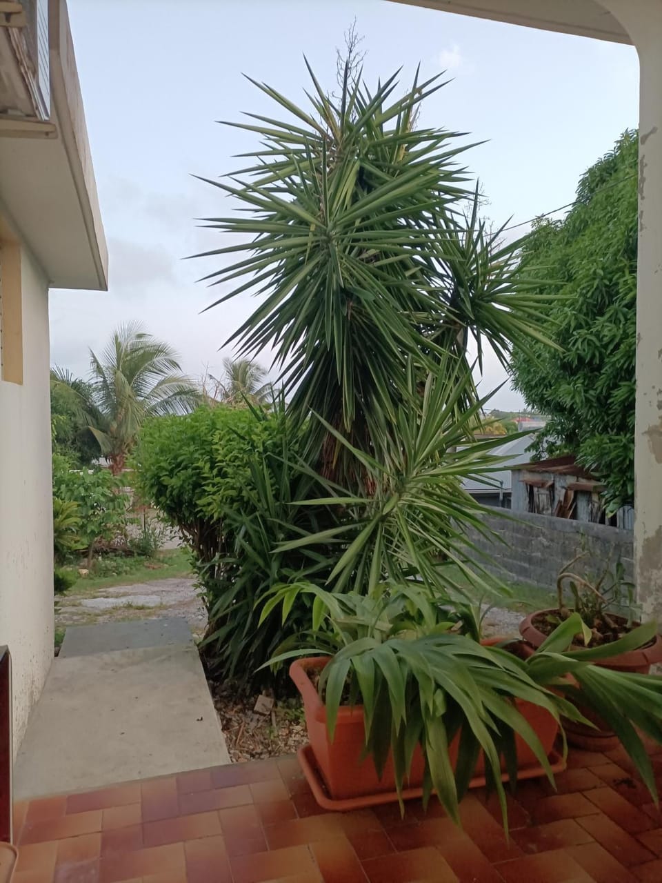 Natural landscape, Garden