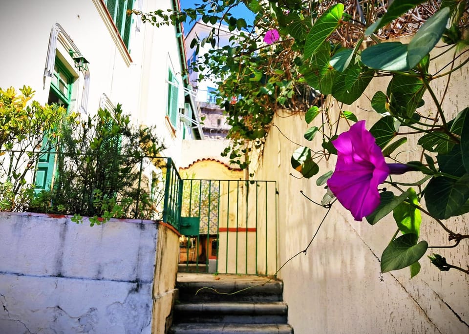 Facade/entrance, Balcony/Terrace