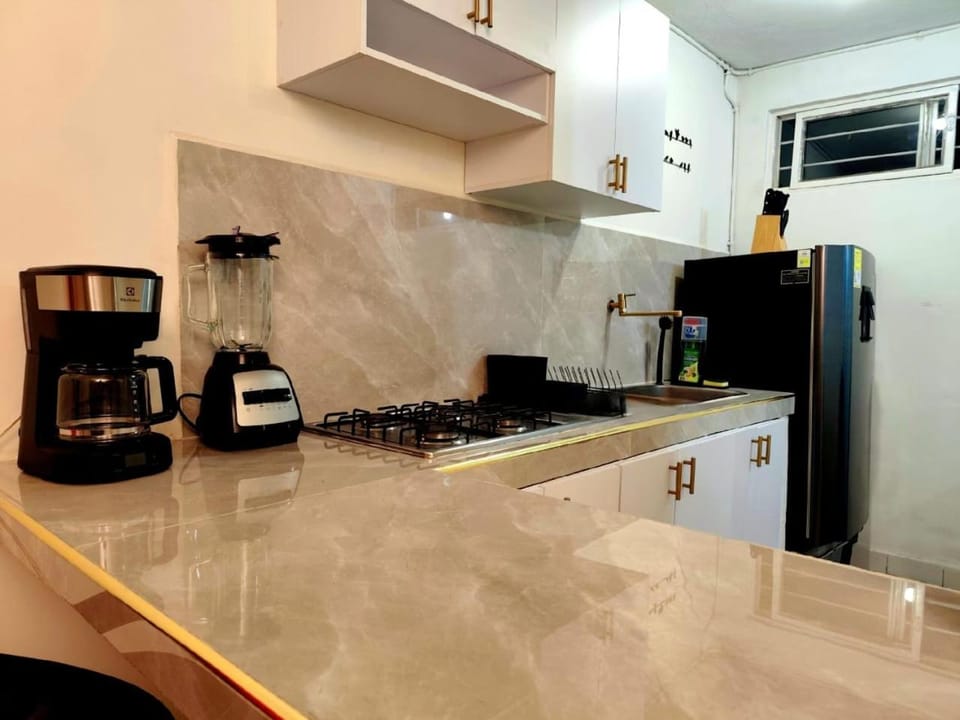 Kitchen or kitchenette, kitchen