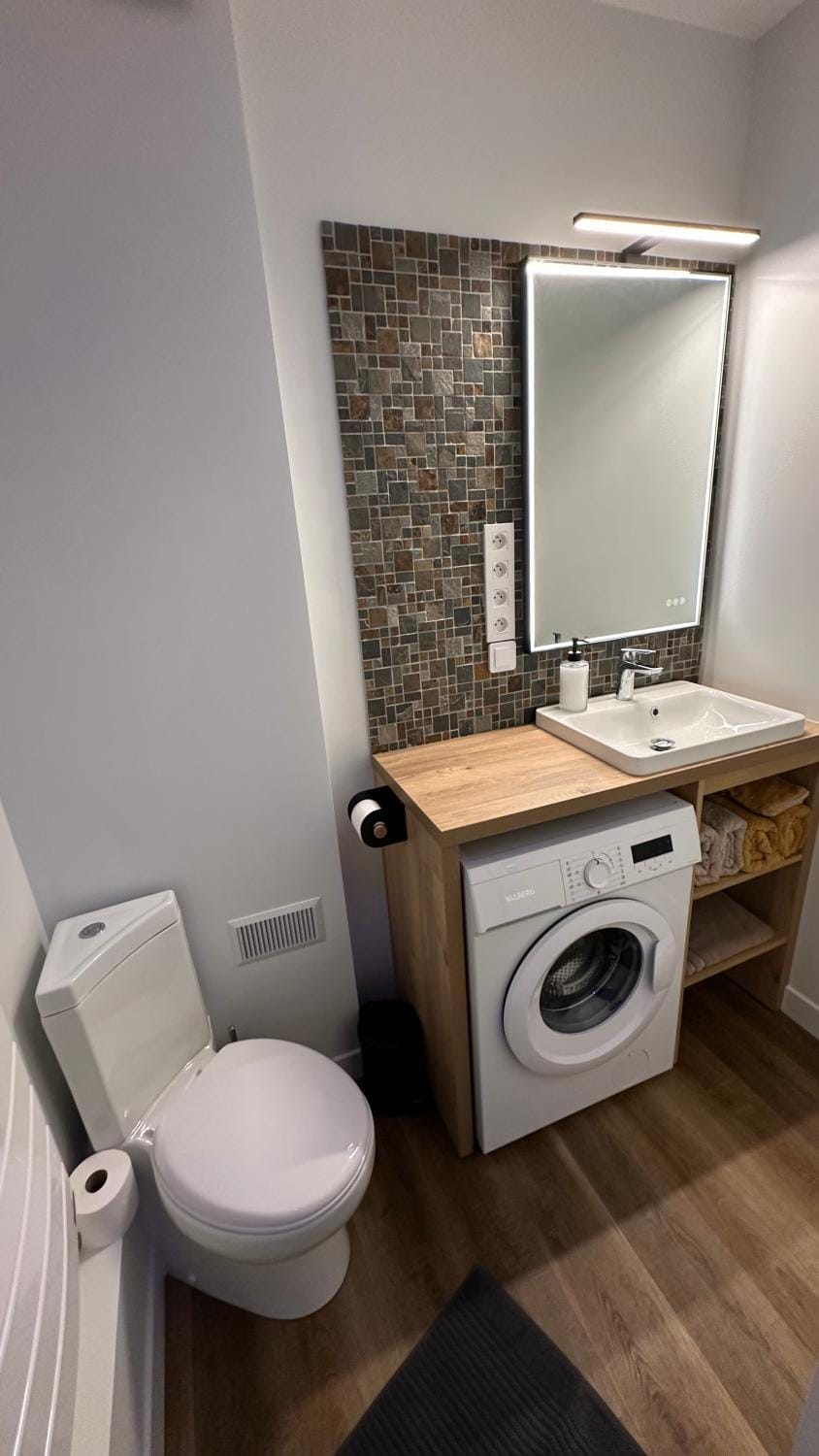 Toilet, towels, washing machine