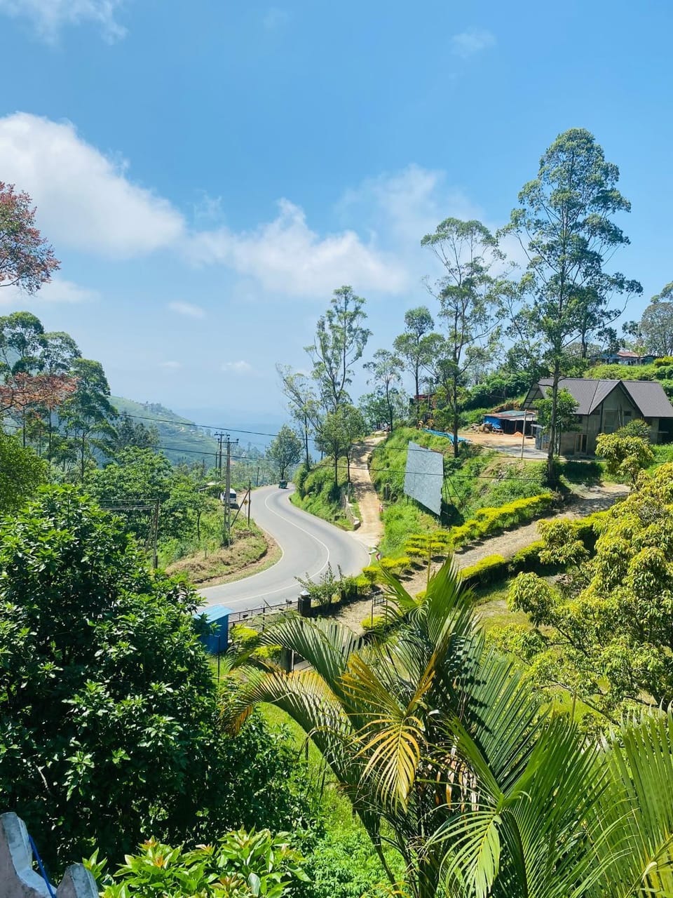 MK Guest House Bed and Breakfast in Central Province