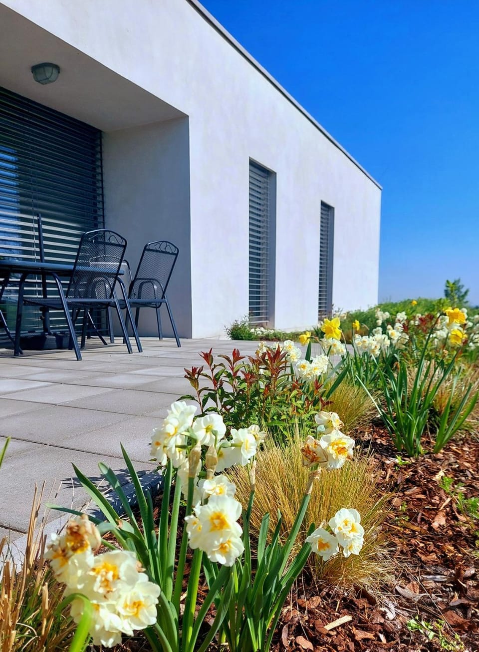 Property building, Spring, Garden