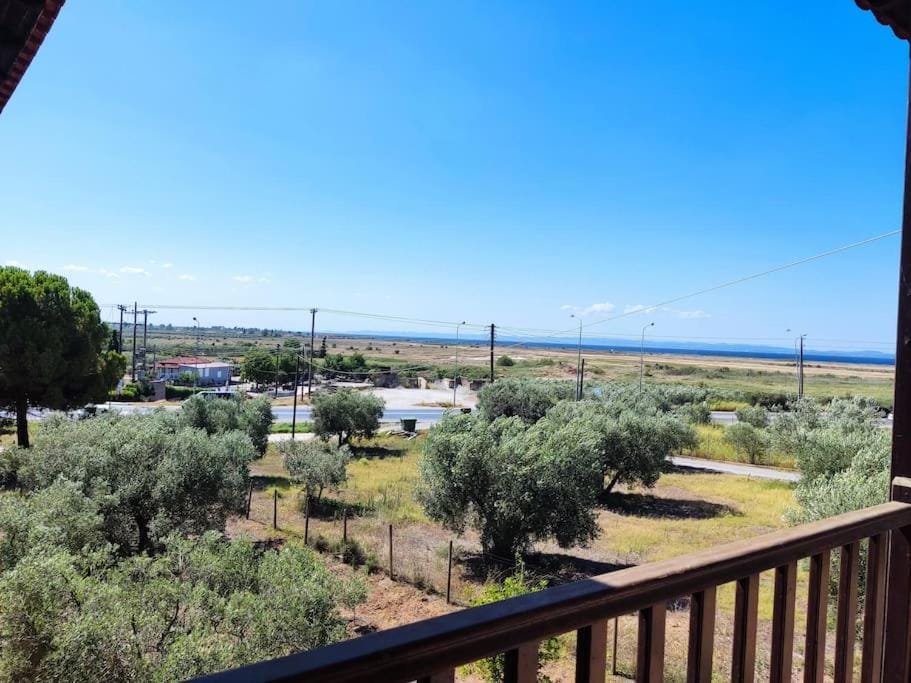 Psakoudia old olive trees appartment 50 m2, 2 bedrooms, sea view Apartment in Halkidiki