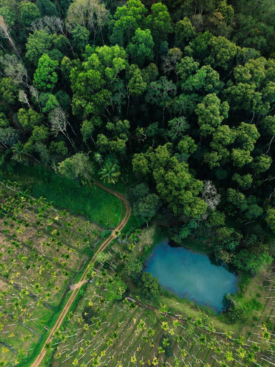 Natural landscape, Bird's eye view