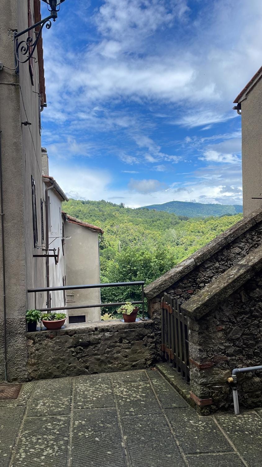 Quiet street view