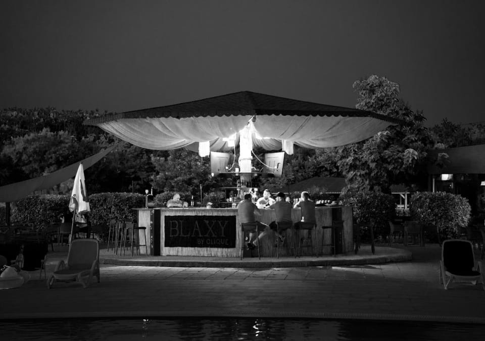 Night, Garden, Lounge or bar