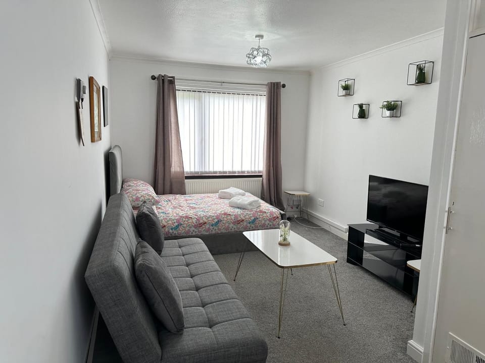 Communal lounge/ TV room, Bed, TV and multimedia, Living room, Photo of the whole room, Seating area, Evening entertainment, Bedroom