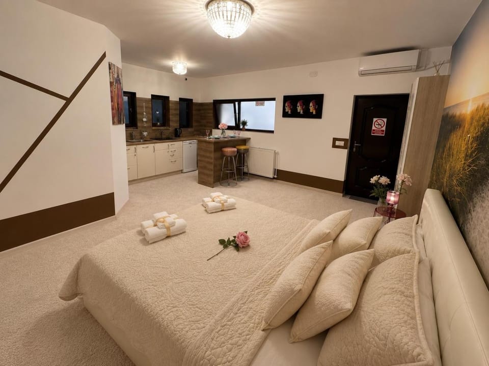 Golden Nest - Central Studio Apartment in Craiova