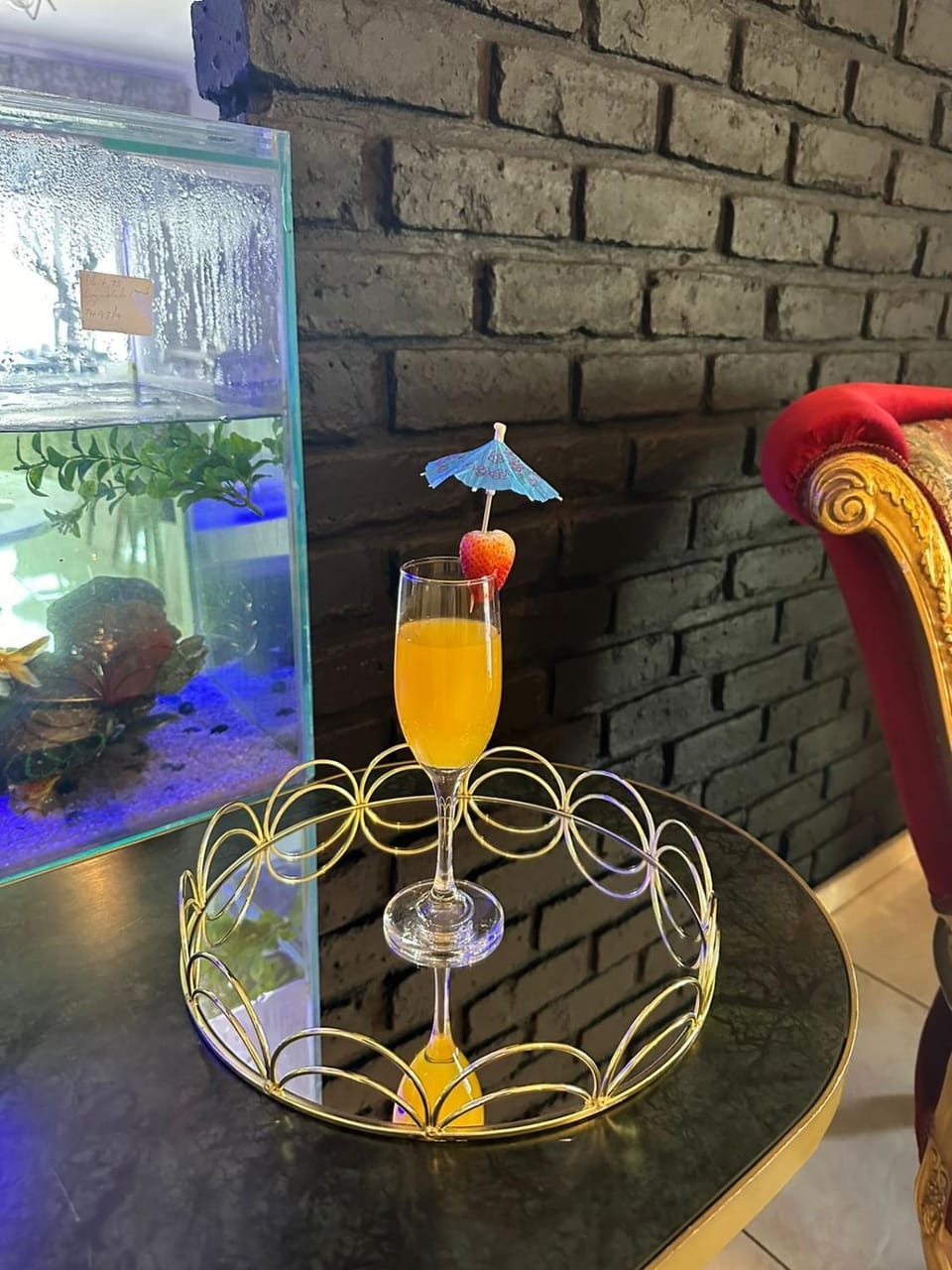 Vilanculos Guesthouse Bed and Breakfast in Gauteng