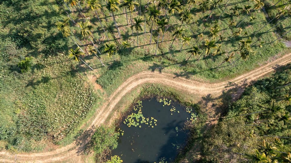 Natural landscape, Activities
