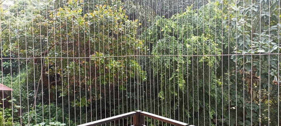 Natural landscape, Balcony/Terrace, Garden view