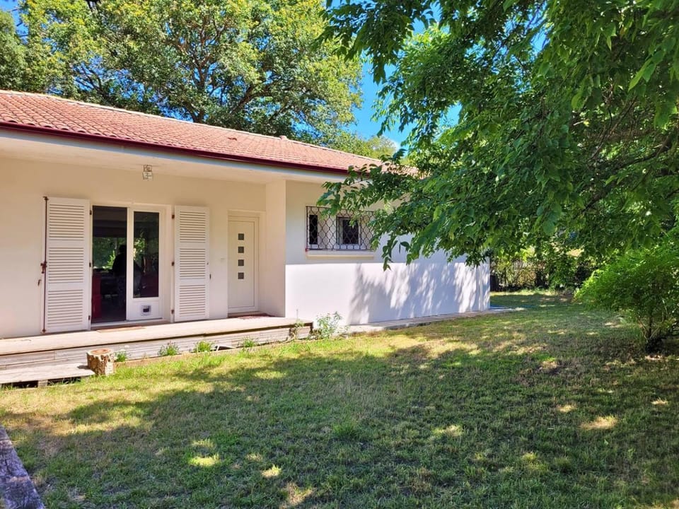 Property building, Day, Garden