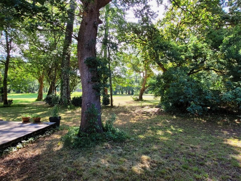 Day, Garden, Garden view