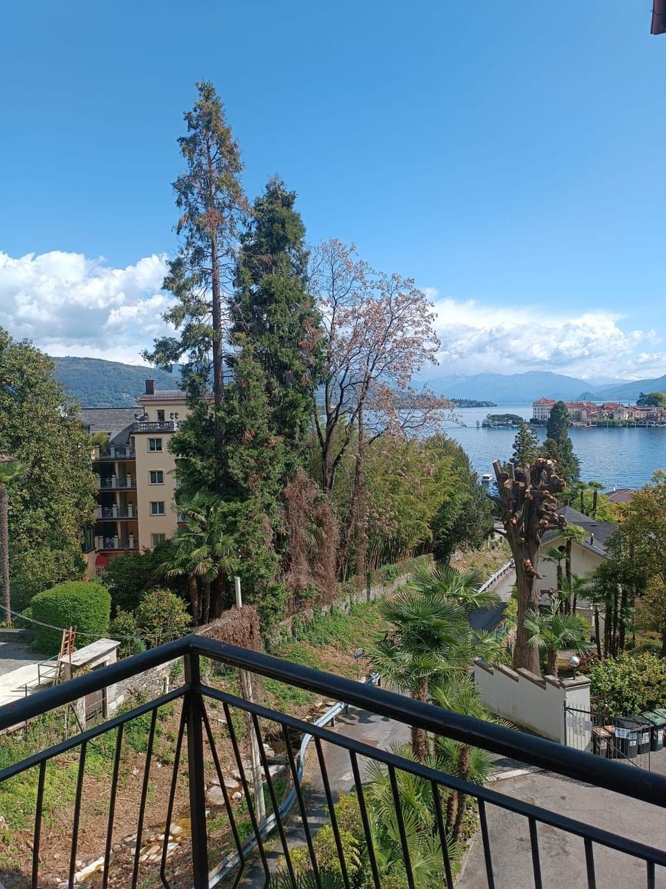 Lake view
