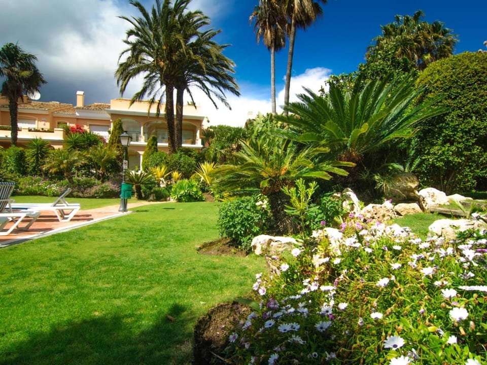 Garden, Garden view, sunbed