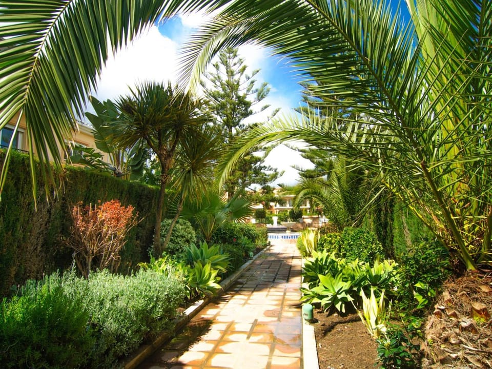 Natural landscape, Garden view