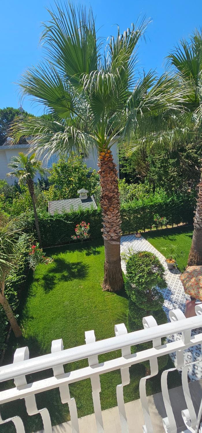 Garden view