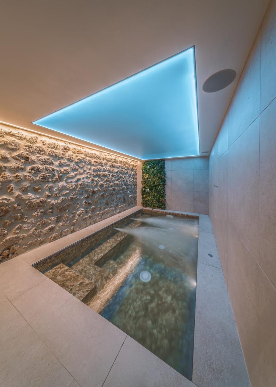 Spa and wellness centre/facilities