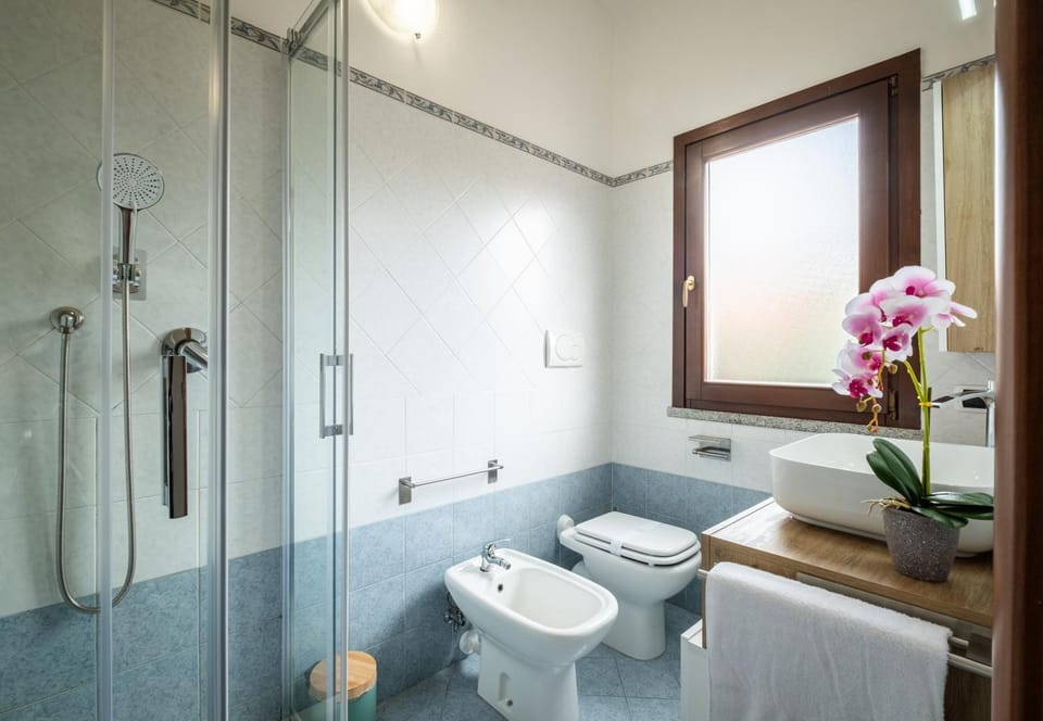 Shower, Toilet, Bathroom, bidet, towels