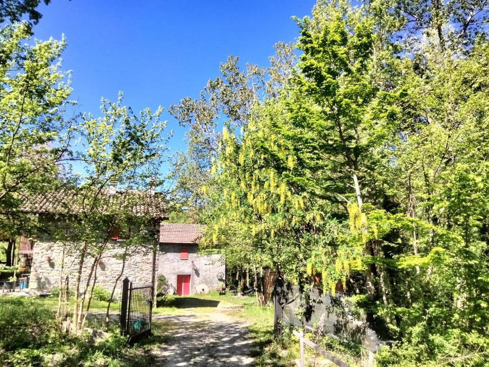 Property building, Day, Natural landscape
