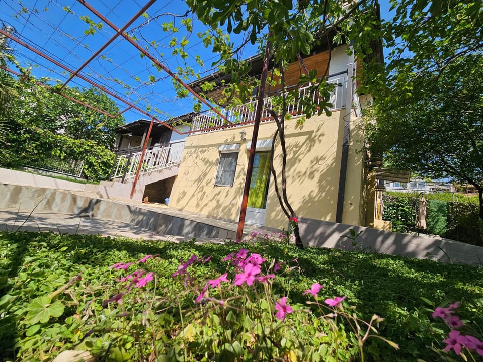 Property building, Day, Garden, Garden view