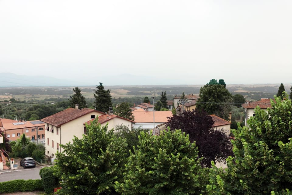 View (from property/room)