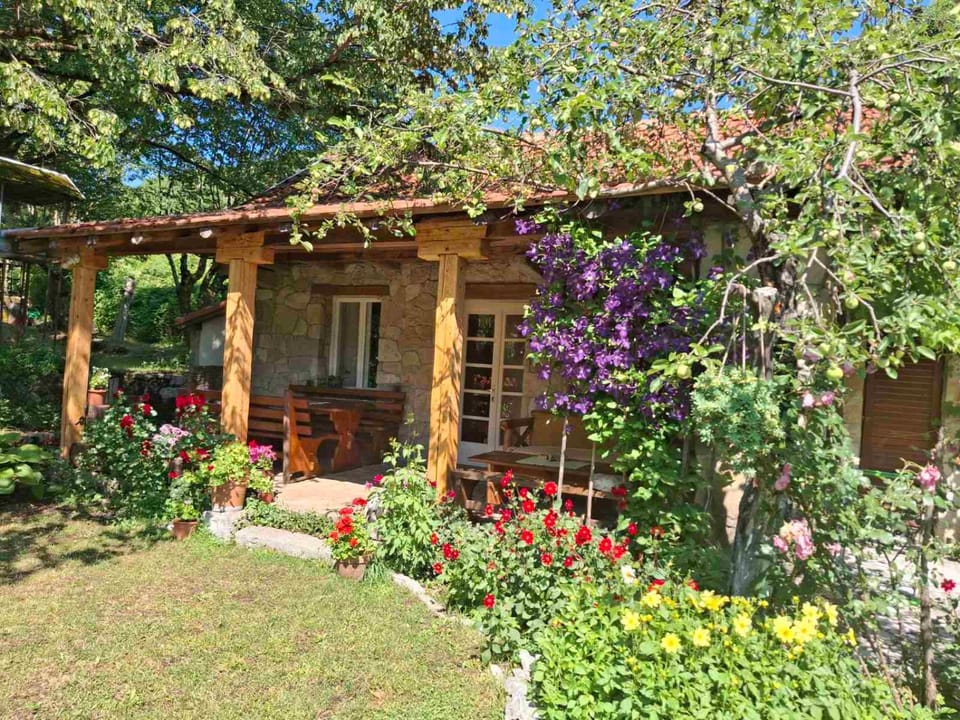 Property building, Spring, Day, Garden, Garden view