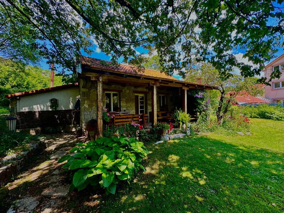 Property building, Spring, Day, Natural landscape, Garden, Garden view