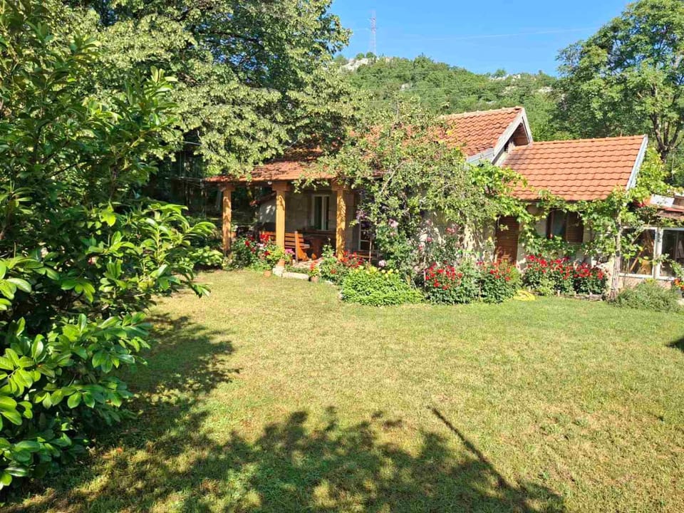 Property building, Spring, Day, Natural landscape, Garden
