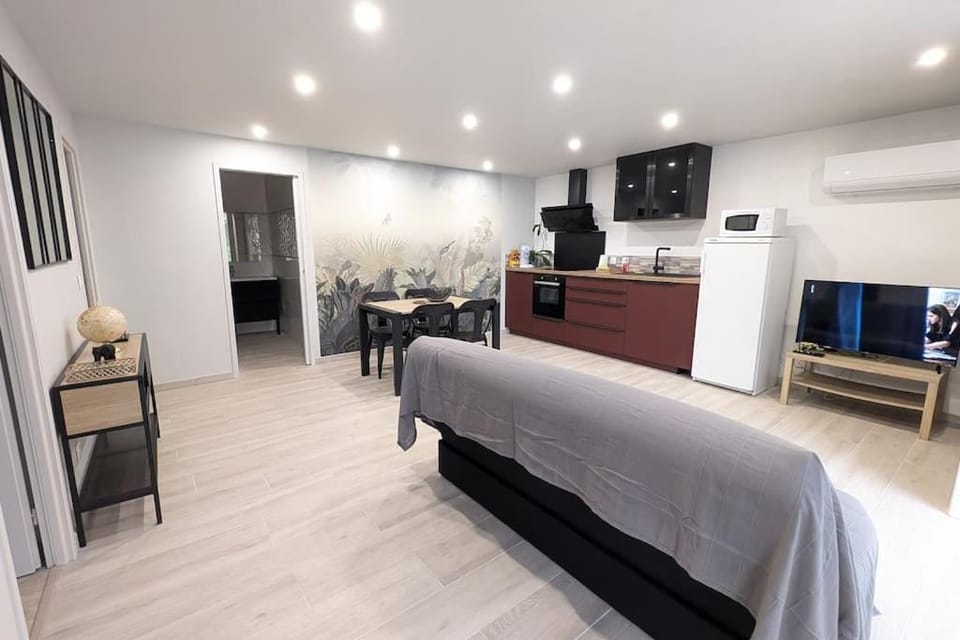 Calme, 2 chambres, terrasse,Wifi TV connectée Clim House in Occitanie