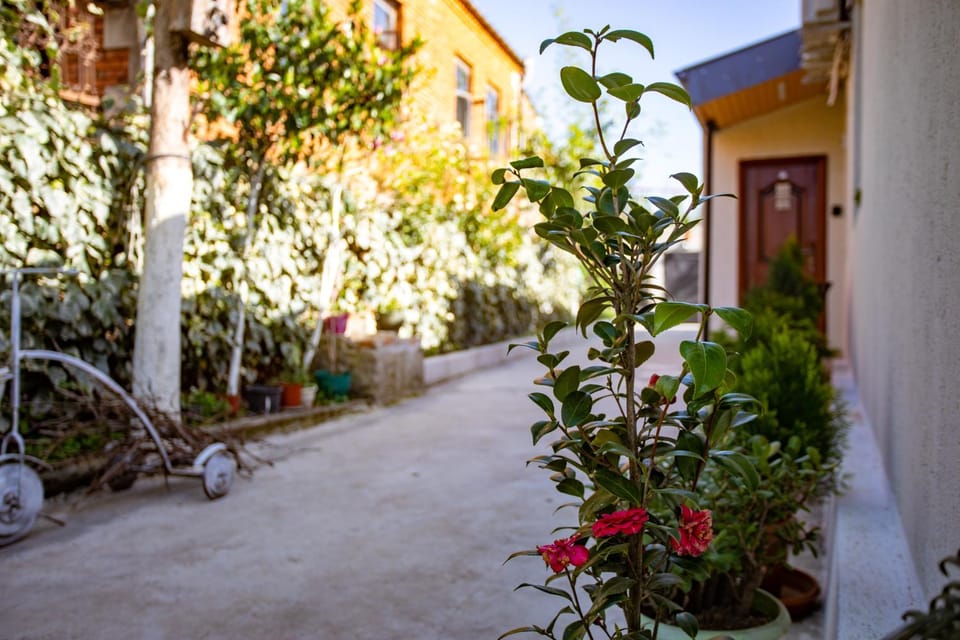 Guest House BALU Apartment in Georgia