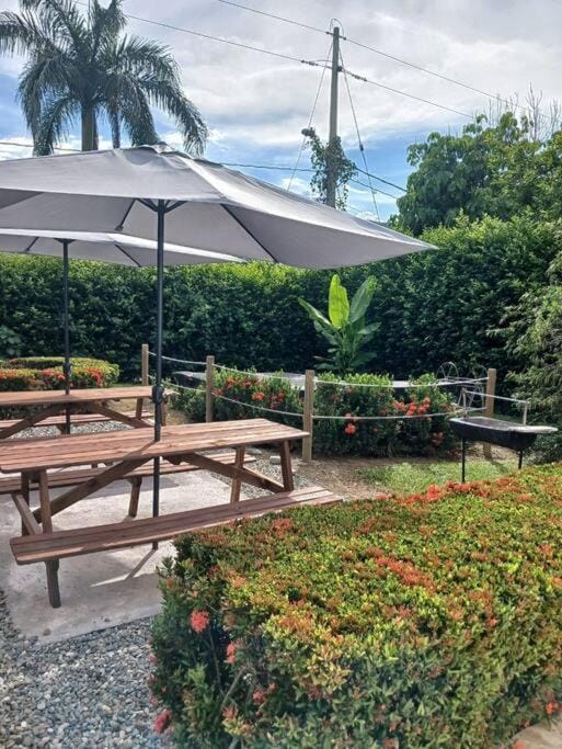 Garden view