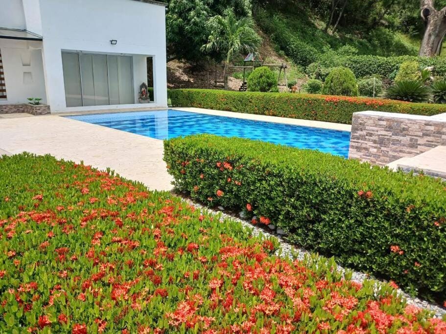 Garden view