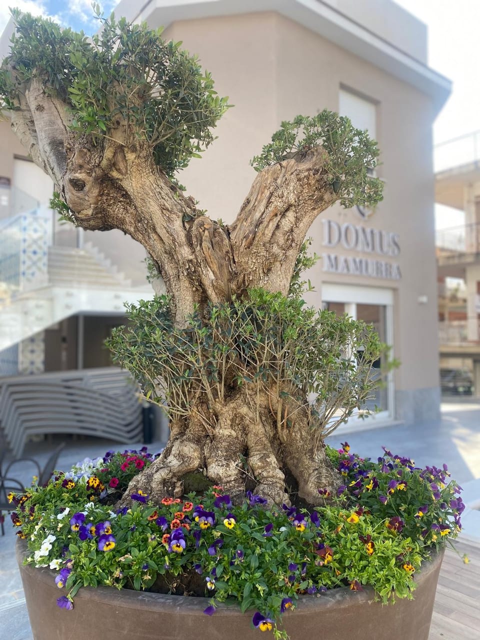 Domus Mamurra Apartment in Formia