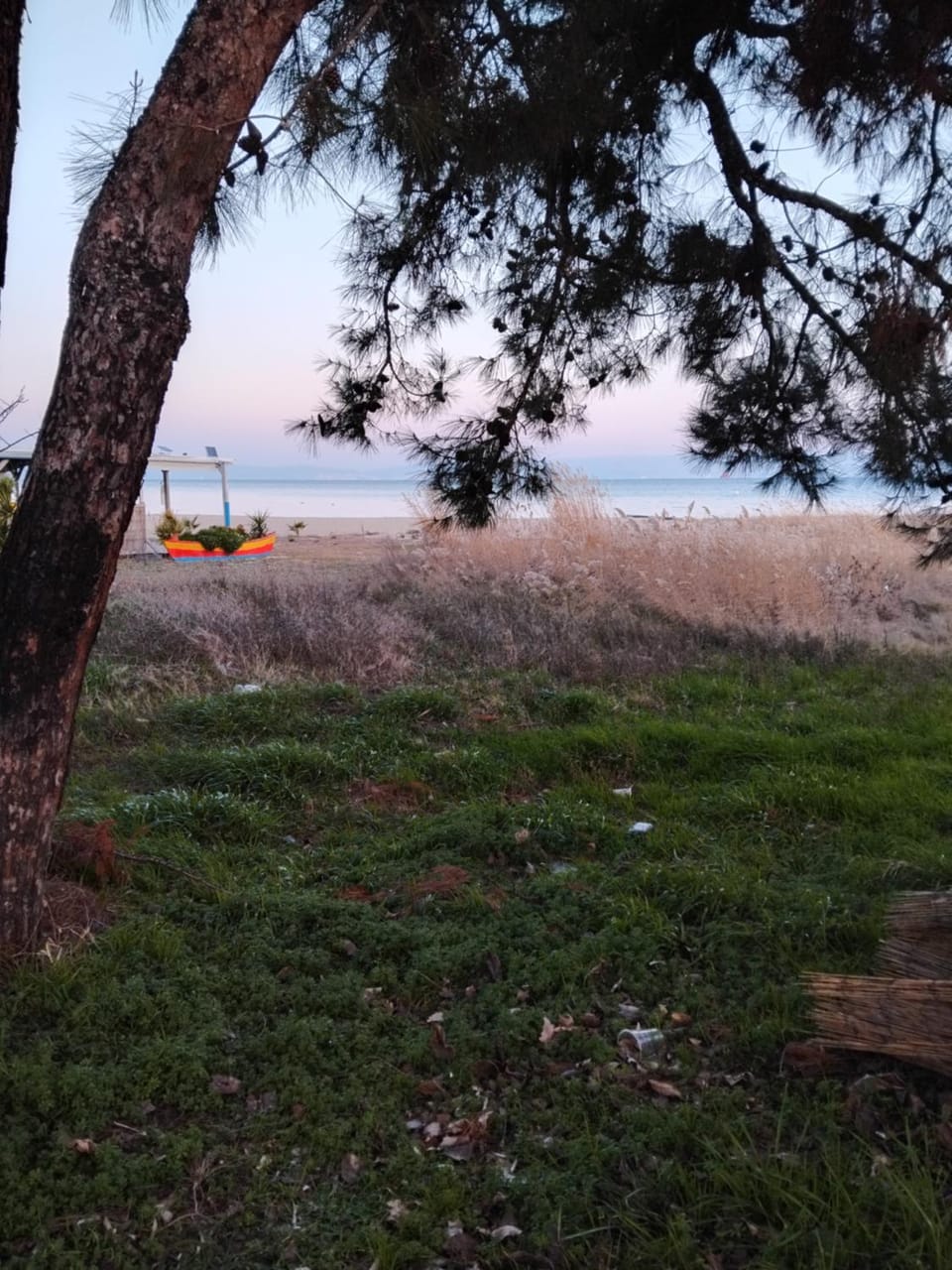 ΘωΜΑΙΣ Apartment in Thasos