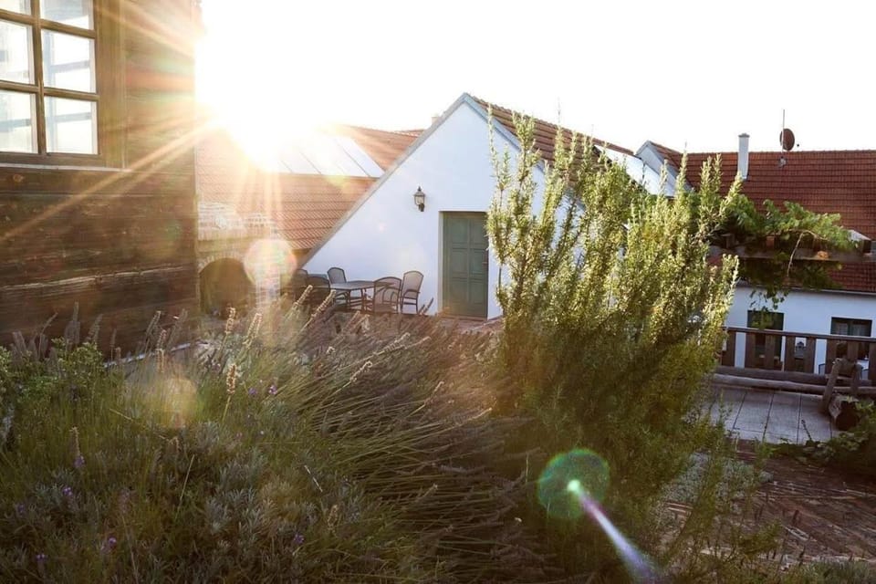 Property building, Garden, Garden view