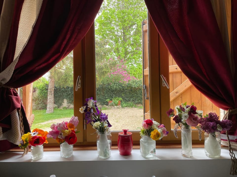Garden view